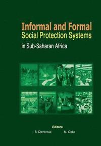bokomslag Informal and Formal Social Protection Systems in Sub-Saharan Africa