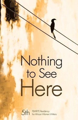 Hilda Twongyeirwe - Nothing to See Here, Häftad