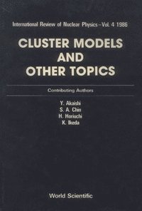 bokomslag Cluster Models and Other Topics