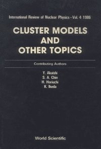 bokomslag Cluster Models And Other Topics