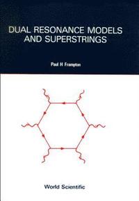 bokomslag Dual Resonance Models and Superstrings