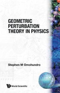bokomslag Geometric Perturbation Theory In Physics