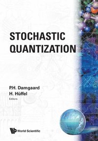 bokomslag STOCHASTIC QUANTIZATION  (B/S)