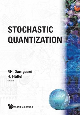 bokomslag STOCHASTIC QUANTIZATION  (B/S)