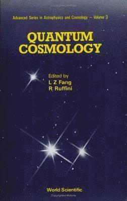 FANG L Z, Italy) Ruffini, Remo (Int'l Center For Relativistic Astrophysics Network (Icranet), Italy & Univ Of Rome "La Sapienza" - Quantum Cosmology, Häftad