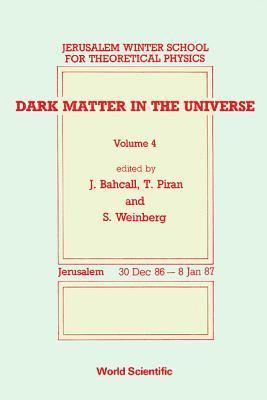 bokomslag DARK MATTER IN THE UNIVERSE