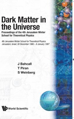 bokomslag Dark Matter In The Universe - Proceedings Of The 4th Jerusalem Winter School For Theoretical Physics