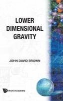 bokomslag LOWER DIMENSIONAL GRAVITY     (B/H)
