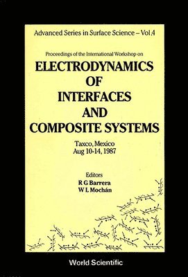 bokomslag Electrodynamics of Interfaces and Composite Systems - Proceedings of the International Workshop