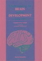 bokomslag Understanding The Brain And Its Development: A Chemical Approach