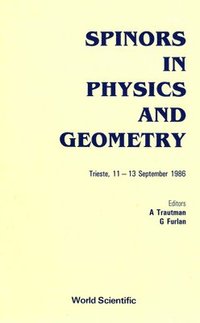 bokomslag Spinors in Physics and Geometry