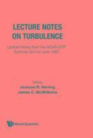 bokomslag Lecture Notes on Turbulence