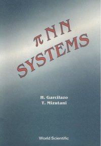 bokomslag Pi NN Systems