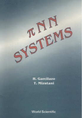 bokomslag Pi NN Systems