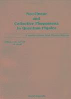 bokomslag Non-linear And Collective Phenomena In Quantum Physics: A Reprint Volume From Physics Reports