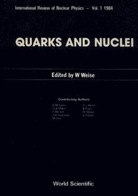 bokomslag Quarks And Nuclei
