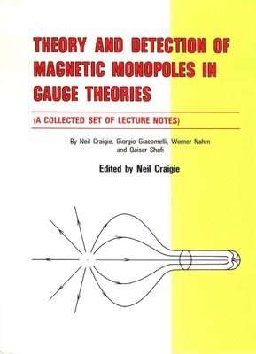 bokomslag Theory And Detection Of Magnetic Monopoles In Gauge Theories