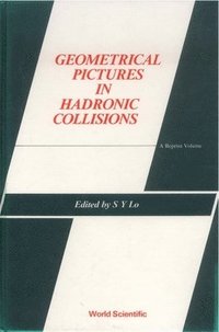 bokomslag Geometrical Pictures In Hadronic Collisions: A Reprint Volume