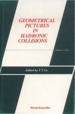 bokomslag Geometrical Pictures In Hadronic Collisions: A Reprint Volume