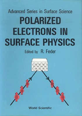 bokomslag Polarized Electrons In Surface Physics