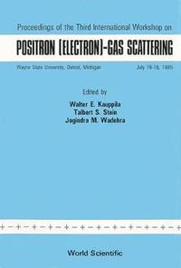 bokomslag Positron (Electron): Gas Scattering - Proceedings Of The Third International Workshop