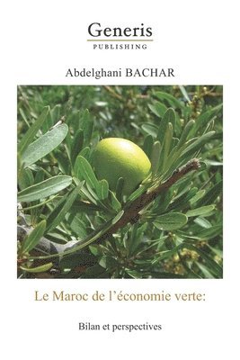 bokomslag Le Maroc de l'économie verte: Bilan et perspectives