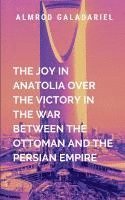 bokomslag Joy In Anatolia Over The Victory In The War Between The Ottoman And The Persian Empire