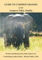 bokomslag Guide to Common Grasses of the Luangwa Valley, Zambia