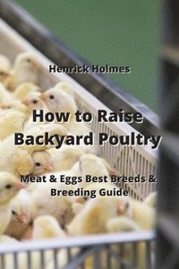 bokomslag How to Raise Backyard Poultry