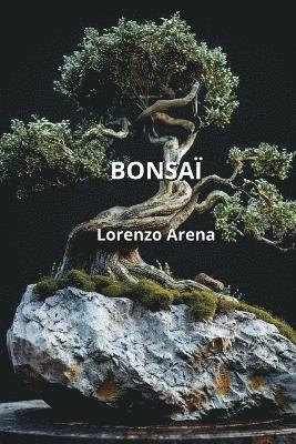 bokomslag Bonsa