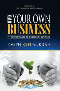 bokomslag Own Your Own Business