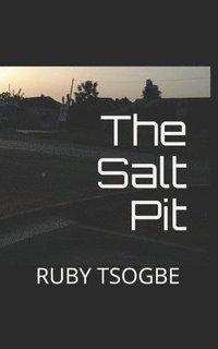 bokomslag The Salt Pit: A historical novel