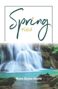 bokomslag Spring Field