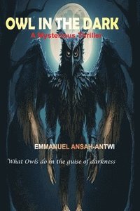 bokomslag Owl in the Dark