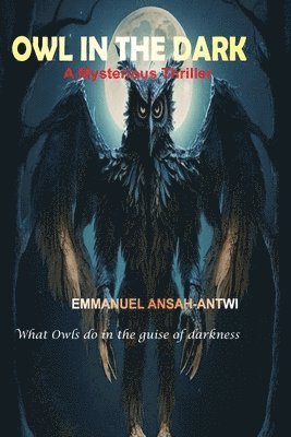bokomslag Owl in the Dark