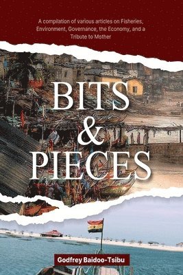 bokomslag Bits and Pieces