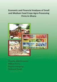 bokomslag Economic and Financial Analyses of Small and Medium Food Crops Agro-Processing Firms in Ghana