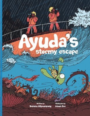 Ayuda's Stormy Escape 1