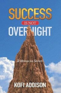 bokomslag Success Is Not Overnight