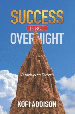 bokomslag Success Is Not Overnight