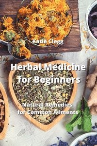 bokomslag Herbal Medicine for Beginners