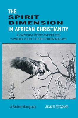 bokomslag Spirit Dimension in African Christianity