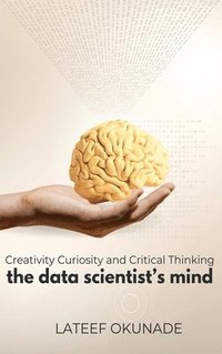 bokomslag The Data Scientist's Mind