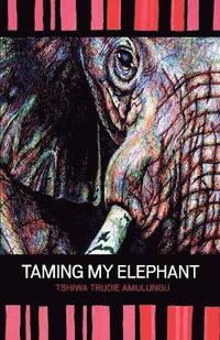 bokomslag Taming My Elephant
