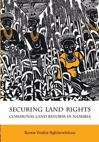 bokomslag Securing Land Rights