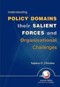 bokomslag Understanding Policy Domains Their Salient Forces and Organisational Challenges
