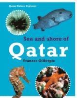 bokomslag Sea and Shore Life of Qatar