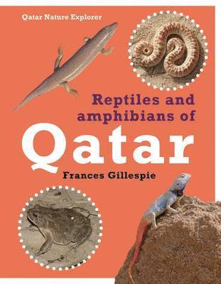 Reptiles and Amphibians of Qatar 1