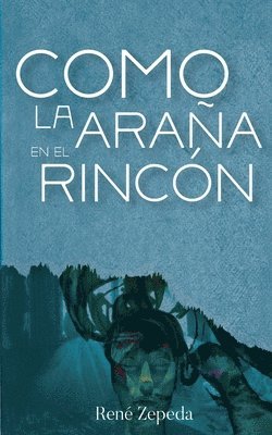 Como la araña en el rincón 1