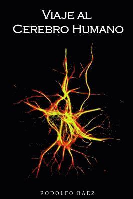 Viaje Al Cerebro Humano